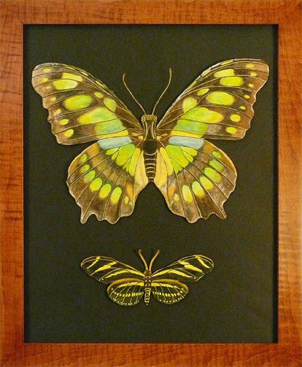 Large Green and Brown with Yellow and Brown Butterflies