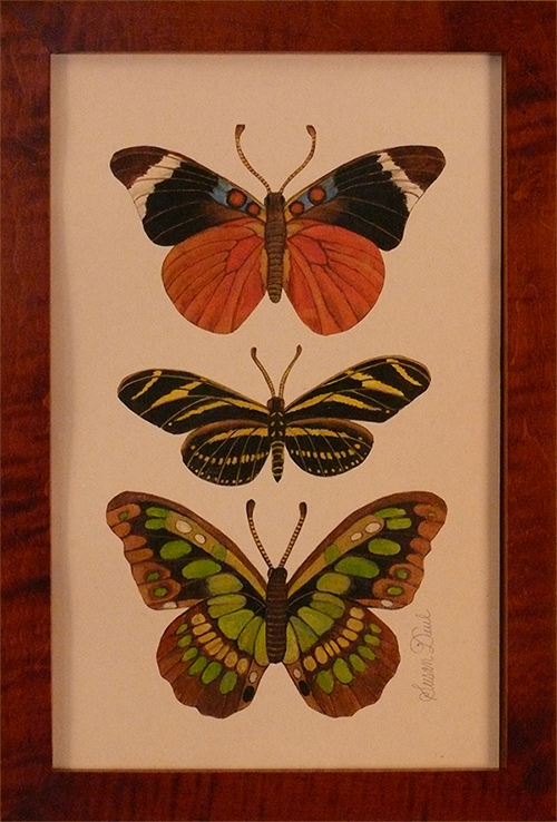Three Butterflies, Orange, Green, Yellow, and Black