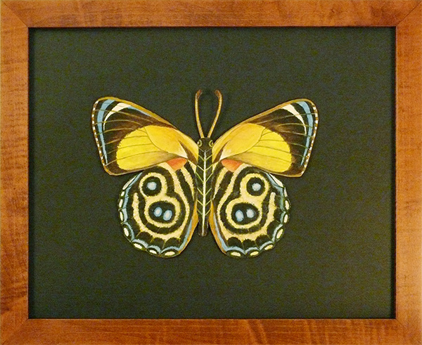 Large Multicolored Butterfly